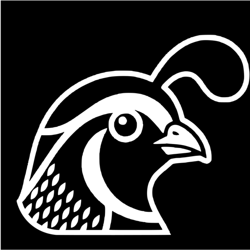 Kweli app icon